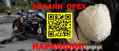 прущие грибы Обь