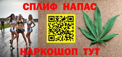 прущие грибы Обь